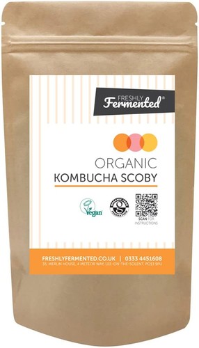 Kombucha scoby litre fresh - scoby,