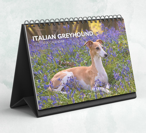 Italian greyhound desk - italian,