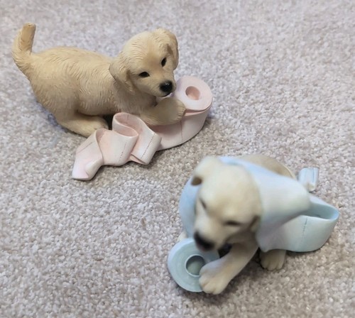 Leonardo labrador puppies - leonardo,