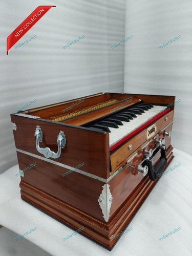 Indain classical instrument - indain,