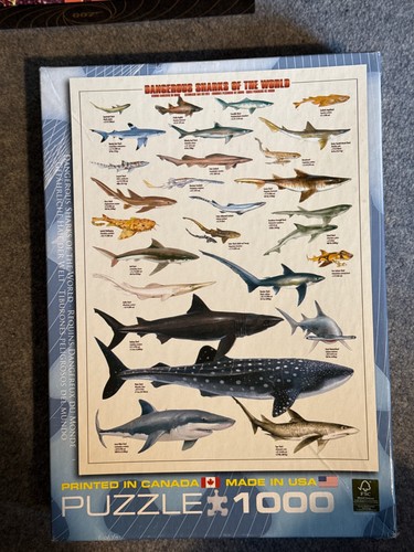 Eurographics dangerous sharks - eurographics,