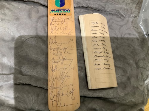 Cricket signed mini - cricket,