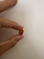 Dinosaur Age Amber With Fly Inclusion - 100 Million Years Old