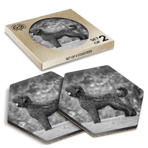 Hexagon coasters bw - coasters,