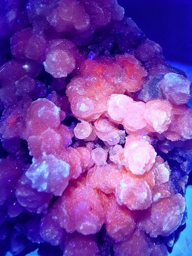 Large natural fluorescent - natural,