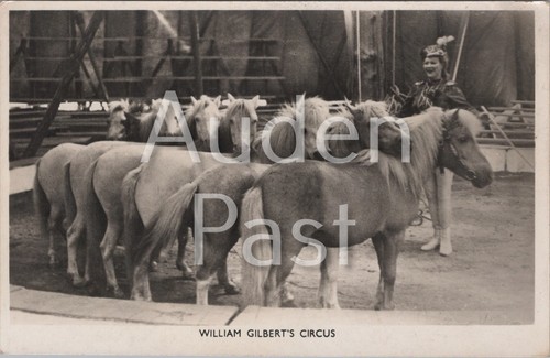Rppc william gilbert circus - william, gilbert's
