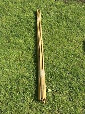 Bamboo Canes | 5Ft | Thick | Unused