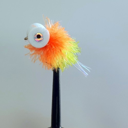 Tequila booby fly - 3, x