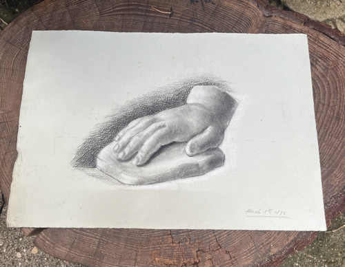 Study drawing antique charcoal - drawing,