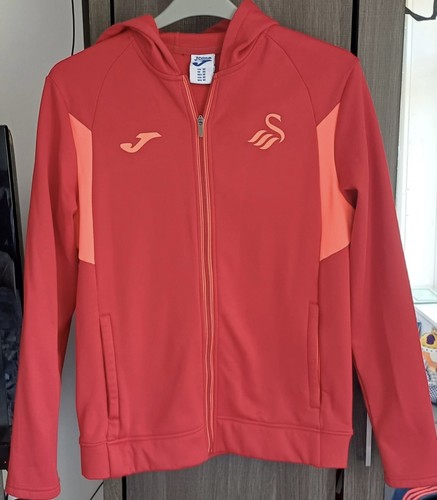 Swansea city medium - swansea,