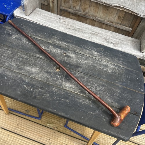 Hazel walking stick shillelagh - hazel,