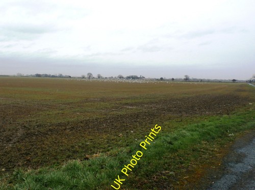 Photo 6x4 flock birds - of,