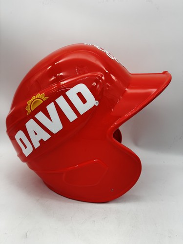 David seeds bigs sunflower - seeds,