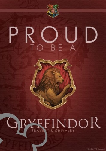 Harry potter gryffindor - harry,