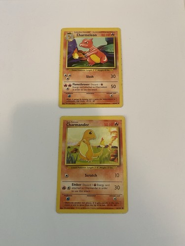 Pokémon tcg charmander - pokémon,