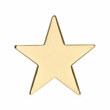 Gold Star Badge Pin (25mm x