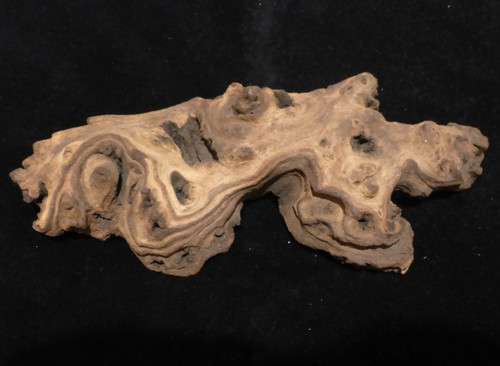 Aquarium mopani wood - wood, fish