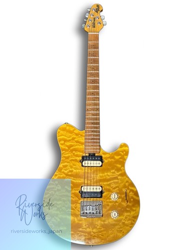 Ernie ball music - ernie, man