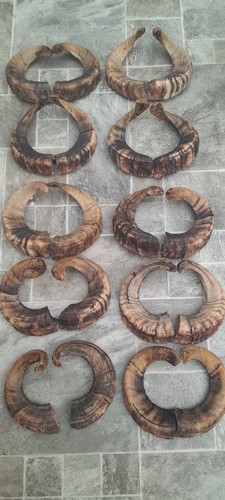 Pairs ram horns - pairs,