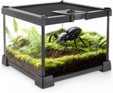 Mini Reptile Glass Terrarium