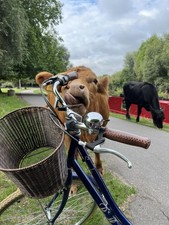 Retro Bike Pendleton Somerby