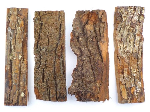 Tree bark pieces - 4, for
