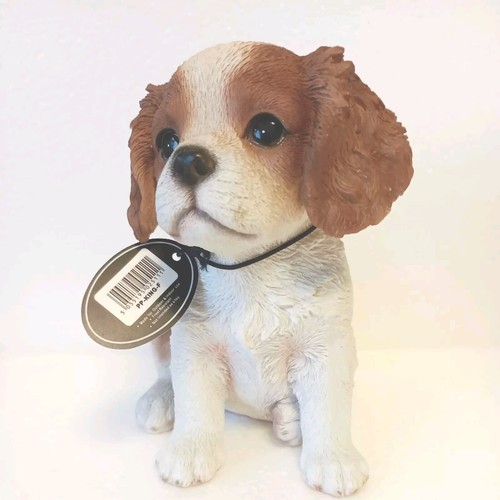 King charles puppy - king,