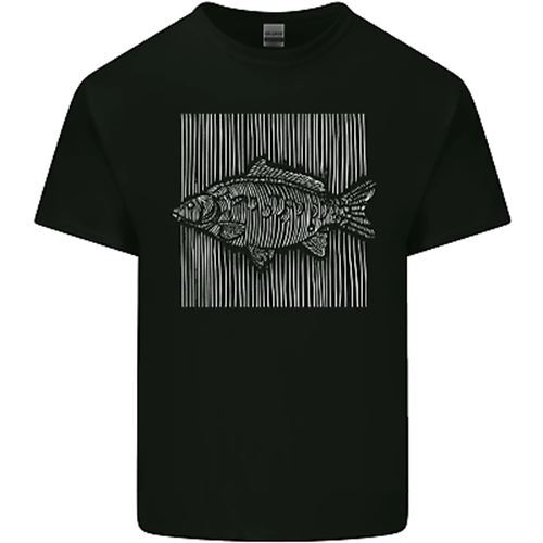 Carp lines fishing fisherman - fishing,