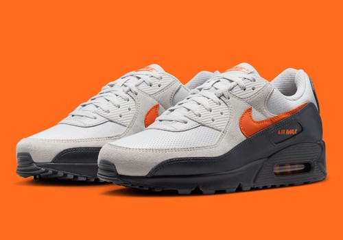 Nike air max vast - 90, grey