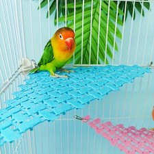 Parrot Hammocks Squirrels