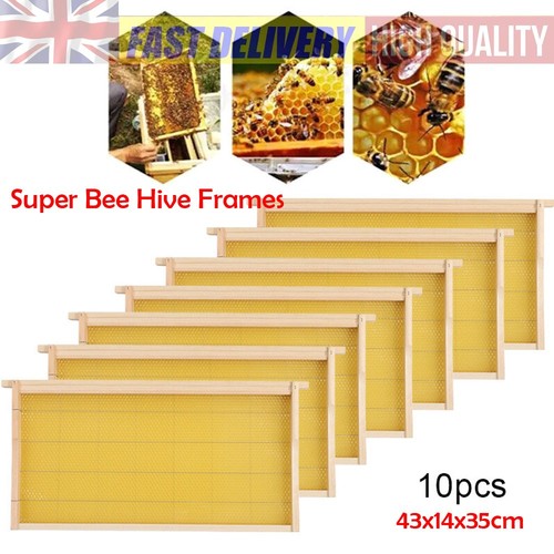 10pcs pro assembled national - 10pcs, pro-assembled