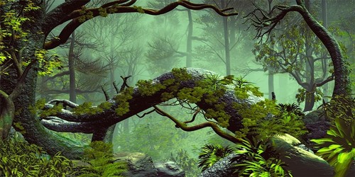 120x50cm foggy forest green - foggy,