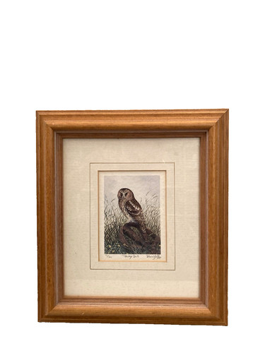 Framed glazed tawny owl - tawny,
