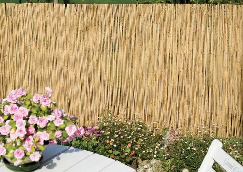 Ambassador natural reed garden - natural,