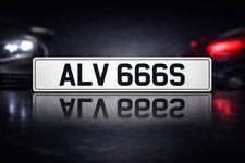 Alv 666s cherished - alv,