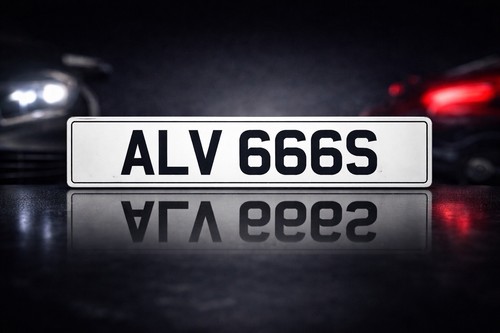 Alv 666s cherished - -,