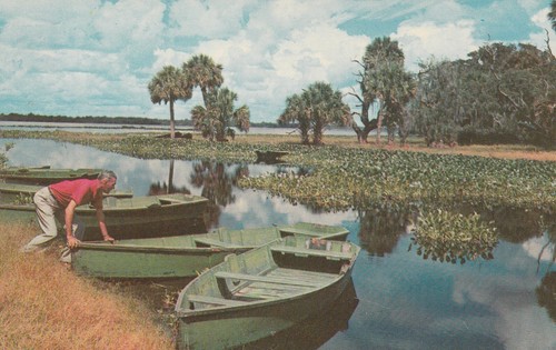 Boating florida everglades - boating,