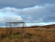 Photo 6x4 Larsen Trap