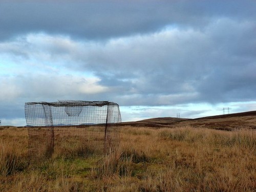 Photo 6x4 larsen trap - larsen,