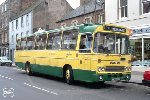 Bus photo lowland - bus,