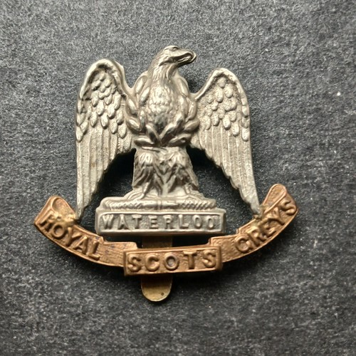 British army royal - british, greys
