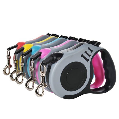 Retractable dog lead - dog,