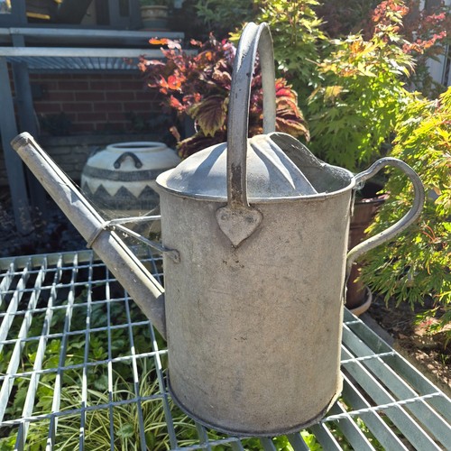 Vintage watering can - watering, gallon