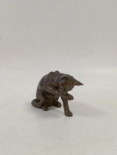 Bronze Effect Cat Grooming