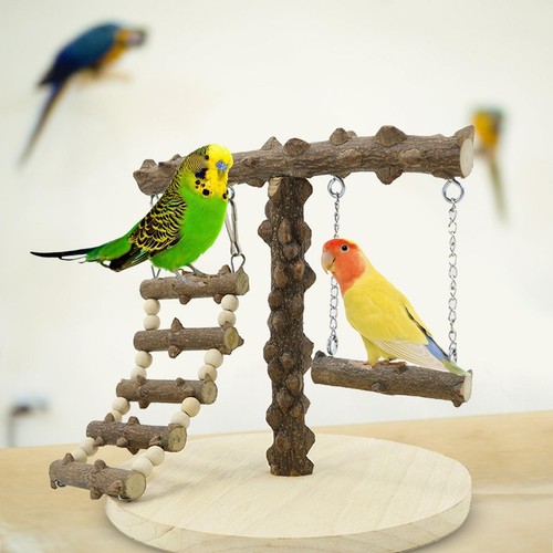Bird play stand - play, cockatiel