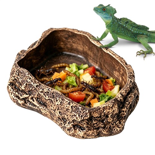 Stone terraced reptile - terraced,