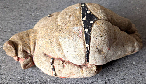 Sunbathing stone pig - sunbathing,