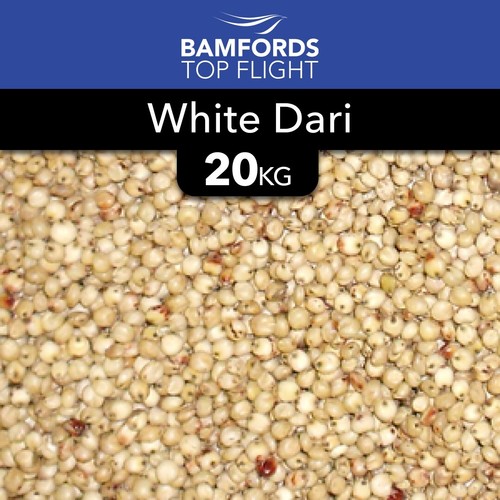 White dari 20kg fishing - white,