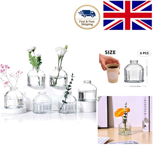 Stylish decorative glass vases - decorative,