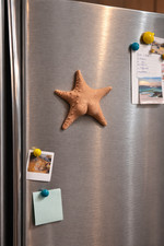 Starfish With A Booty Fridge